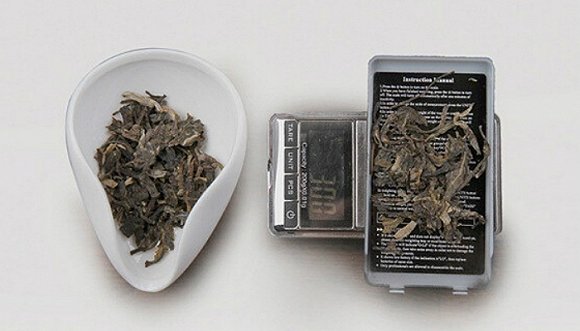 想學(xué)茶？先備齊這些基本工具！(圖2)